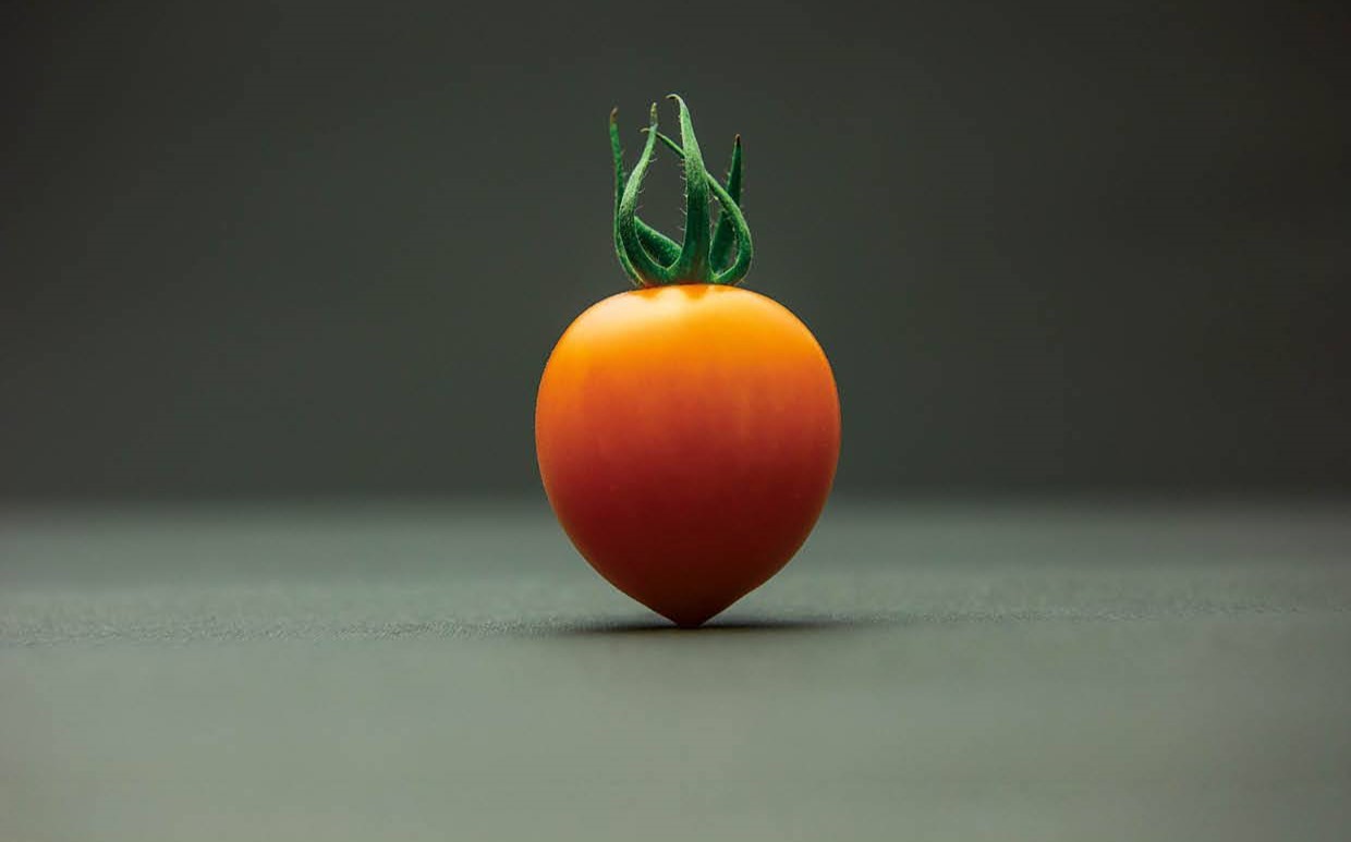 トマトベリーオレンジ