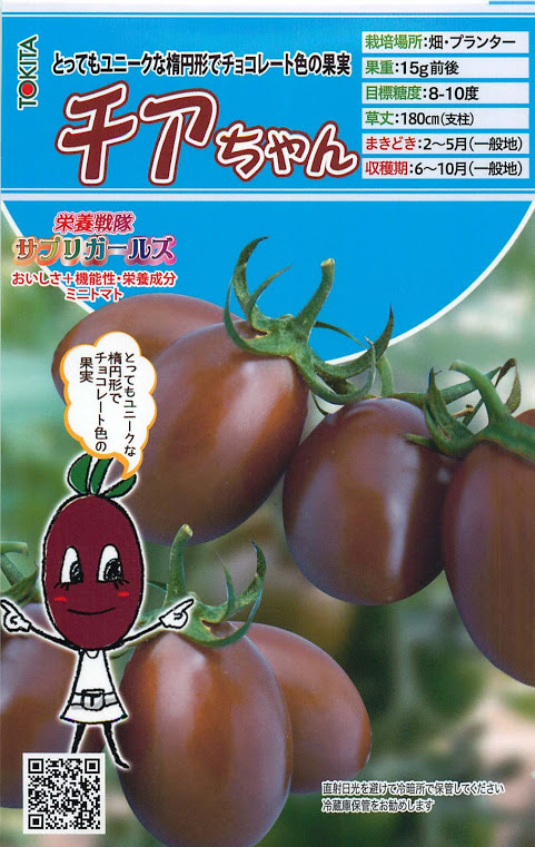 栄養戦隊サプリガールズ　チアちゃん1枚目