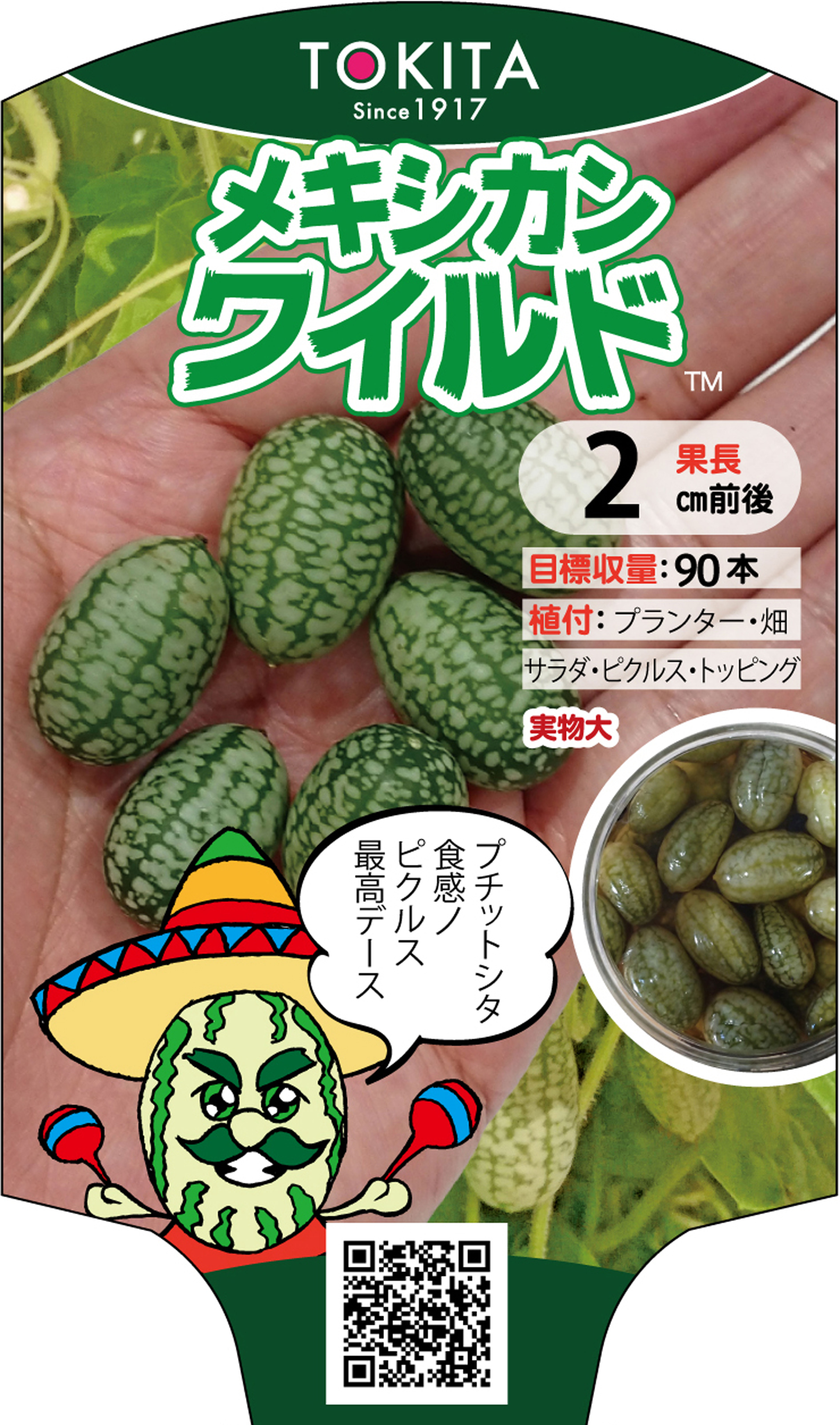 メキシカンワイルド