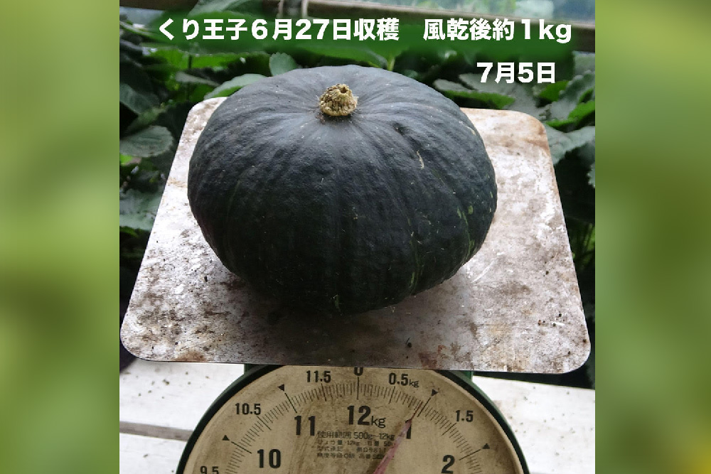 くり王子                                              