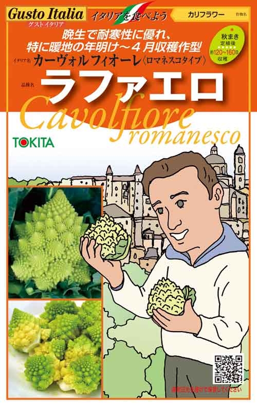 ラファエロ                                             