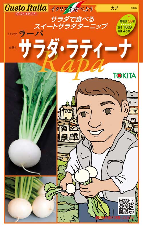 トキタ種苗 野菜品種カタログ 栽培ガイド サラダで食べるスイートサラダターニップ イタリアで人気のサラダカブが凱旋 カブ サラダ ラティーナ