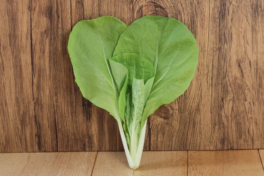 灼熱サラダ菜っぱ                                          