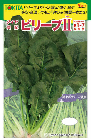 ビリーブⅡ1枚目