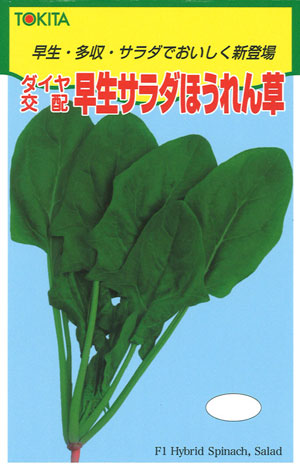 トキタ種苗 野菜品種カタログ 栽培ガイド 早生 多収 サラダでおいしく新登場 ホウレンソウ 早生サラダほうれん草