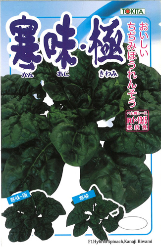 寒味・極1枚目