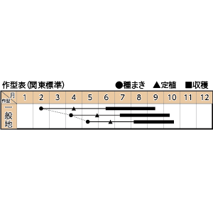 フラガール・オランジェの作型カレンダー