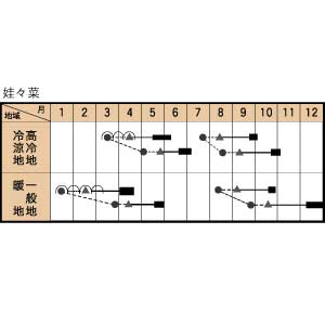 娃々菜の作型カレンダー