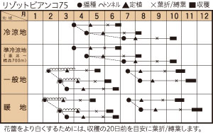 リゾットビアンコ７５の作型カレンダー