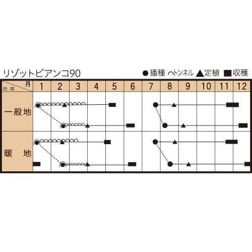 リゾットビアンコ９０の作型カレンダー