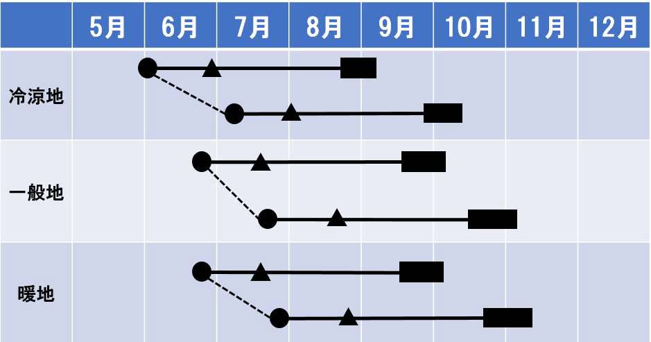 リゾットビアンコ６０の作型カレンダー