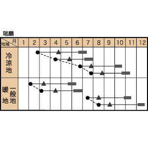 瑞麟ブロッコリーの作型カレンダー