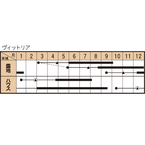 ヴィットリアの作型カレンダー