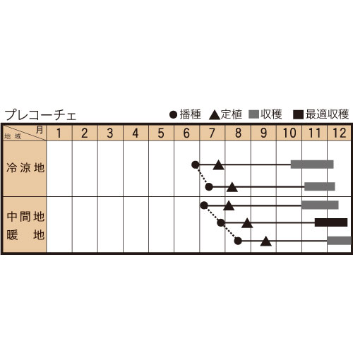 プレコーチェの作型カレンダー