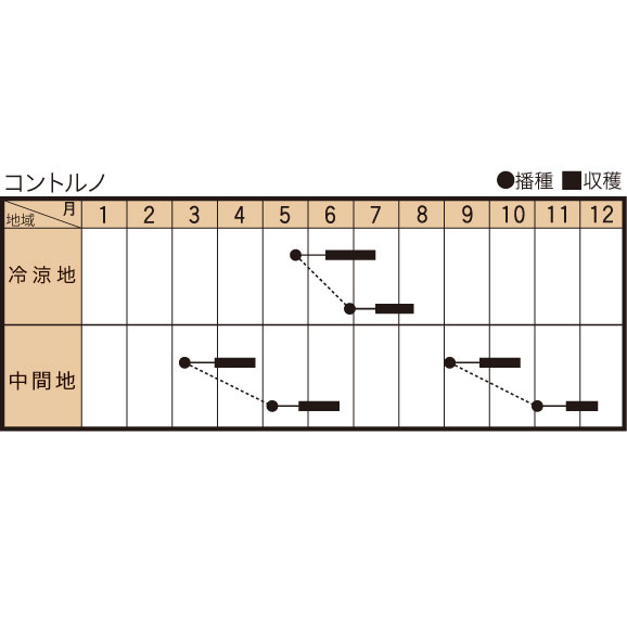 コントルノ                                             