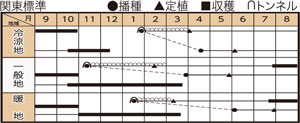 森の奏での作型カレンダー