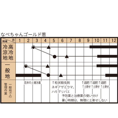 なべちゃんゴールド（TSX-521)の作型カレンダー