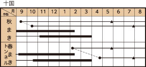 十国一本太の作型カレンダー