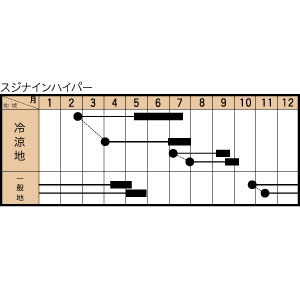 スジナインハイパーの作型カレンダー