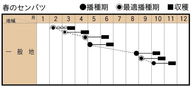 春のセンバツの作型カレンダー