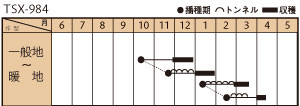 TSX-９８４の作型カレンダー