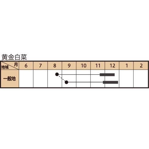 黄金白菜の作型カレンダー