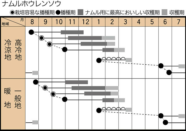 ナムルホウレンソウの作型カレンダー