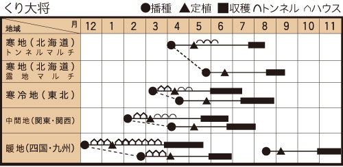 くり大将の作型カレンダー