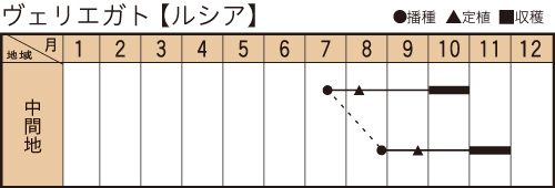 ルシアの作型カレンダー