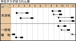 早生サラダほうれん草の作型カレンダー