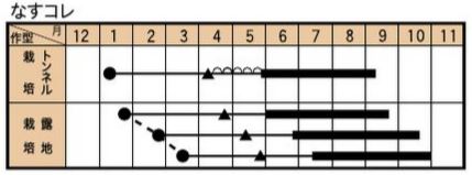 カレーなインド　ナスの作型カレンダー