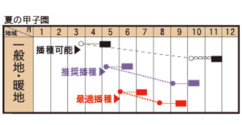 夏の甲子園                                             