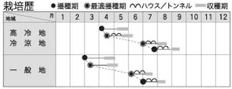 プリウスアーリー７の作型カレンダー