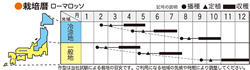 ローマ・ロッソの作型カレンダー