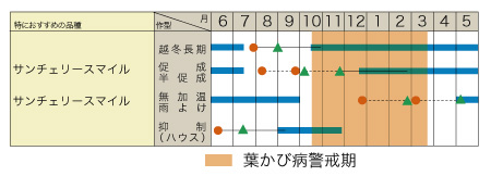 サンチェリースマイルの作型カレンダー