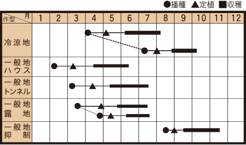 ゼルダ・ジャッロの作型カレンダー