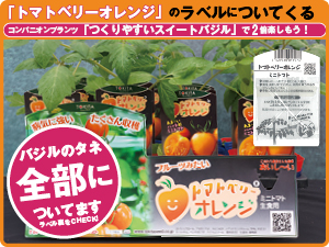 トマトベリーオレンジ全員プレゼント2025