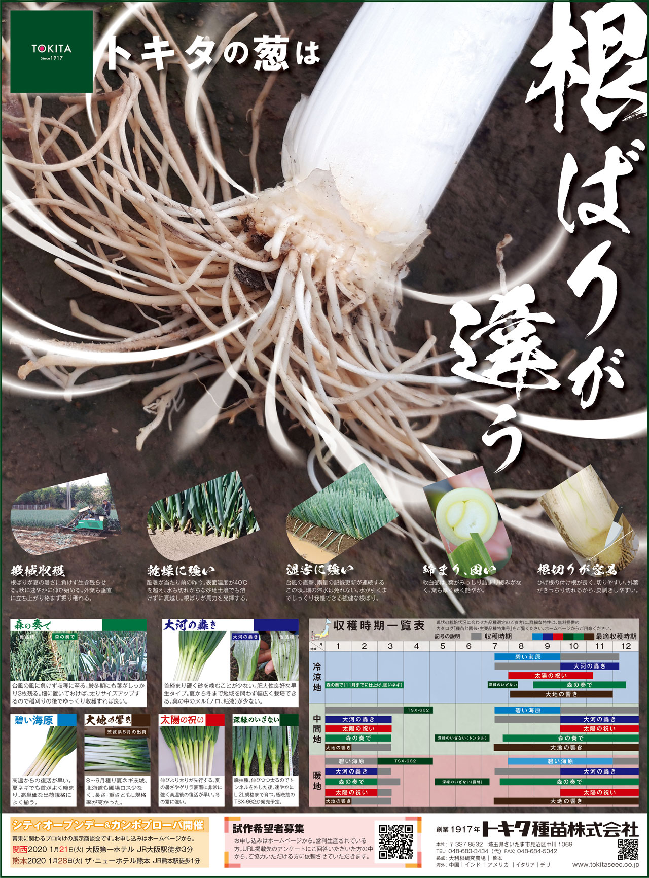 野菜と花の品種開発 種苗メーカートキタ種苗公式サイトのおしらせ一覧ページ