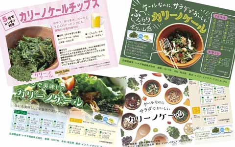 野菜と花の品種開発 種苗メーカートキタ種苗公式サイトのおしらせ一覧ページ