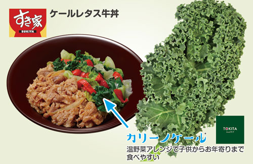 ケールレタス牛丼・カリーノケール温野菜仕立てで子供からお年寄りまで食べやすい