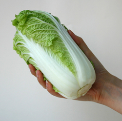 娃々菜1枚目