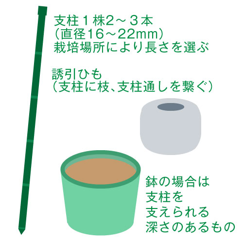 用意するもの