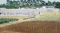 Establishment of Minami-Sakurai Village Research Station