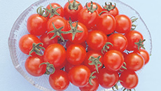 Cherry tomatoes 'Suncherry Extra' recorded over 80% share nationwide