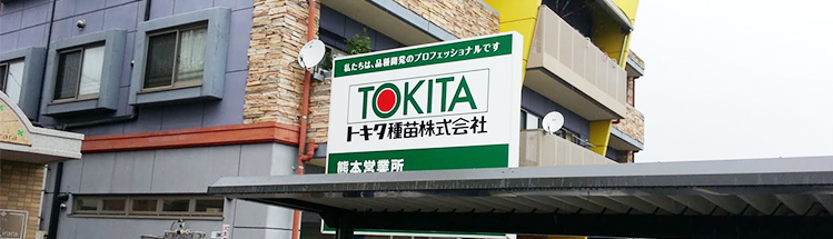 Kumamoto Branch