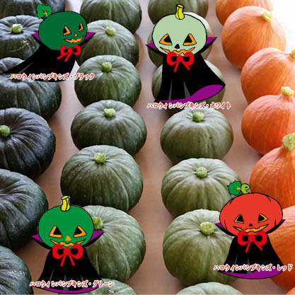 ハロウィンパンプキンズ                                       