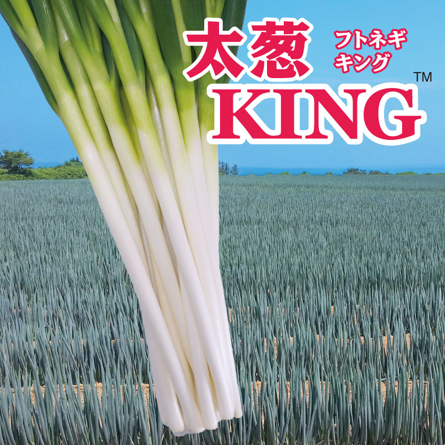 太葱KING