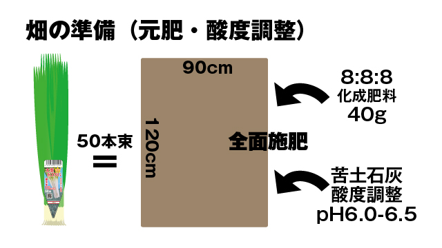 元肥畑の準備