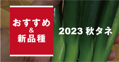 2023年秋のおすすめ＆新品種