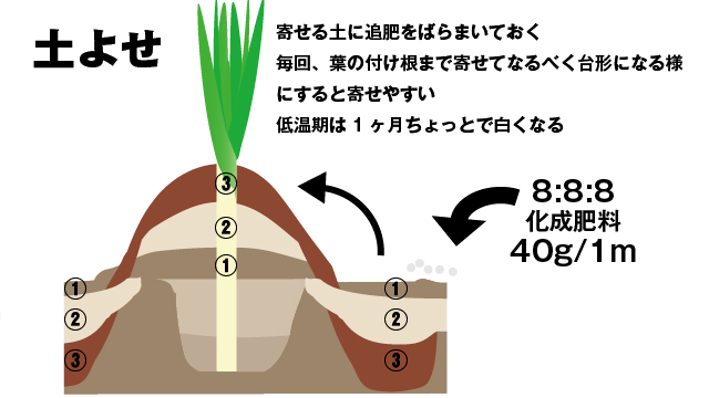 土寄せ収穫